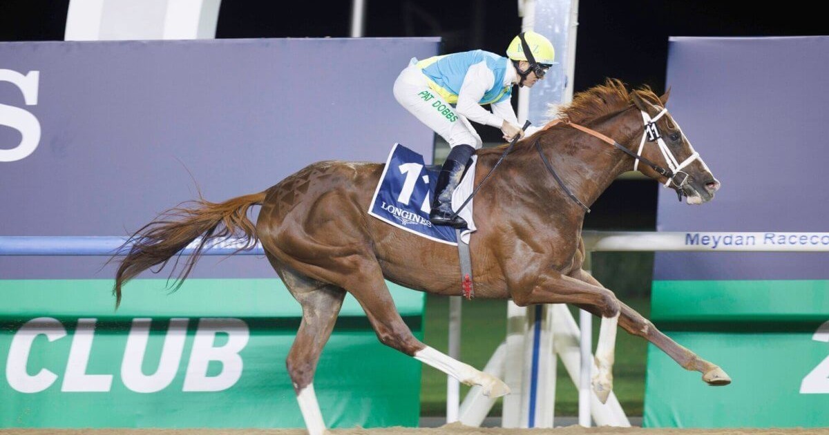 Кабирхан Дубайдағы ат жарысқа қатыспайтын болды