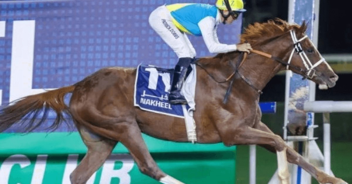 Мақтауы асқан Кабирхан Дубайдағы бәйгеде жеңіліп қалды