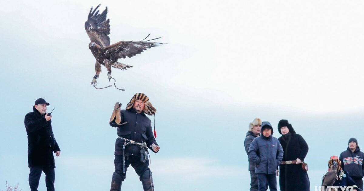 ШҚО-да құс салудан ел чемпионаты мәресіне жетті